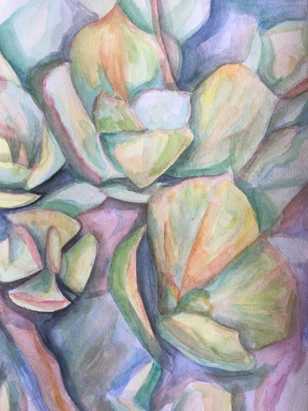 Beach Succulent