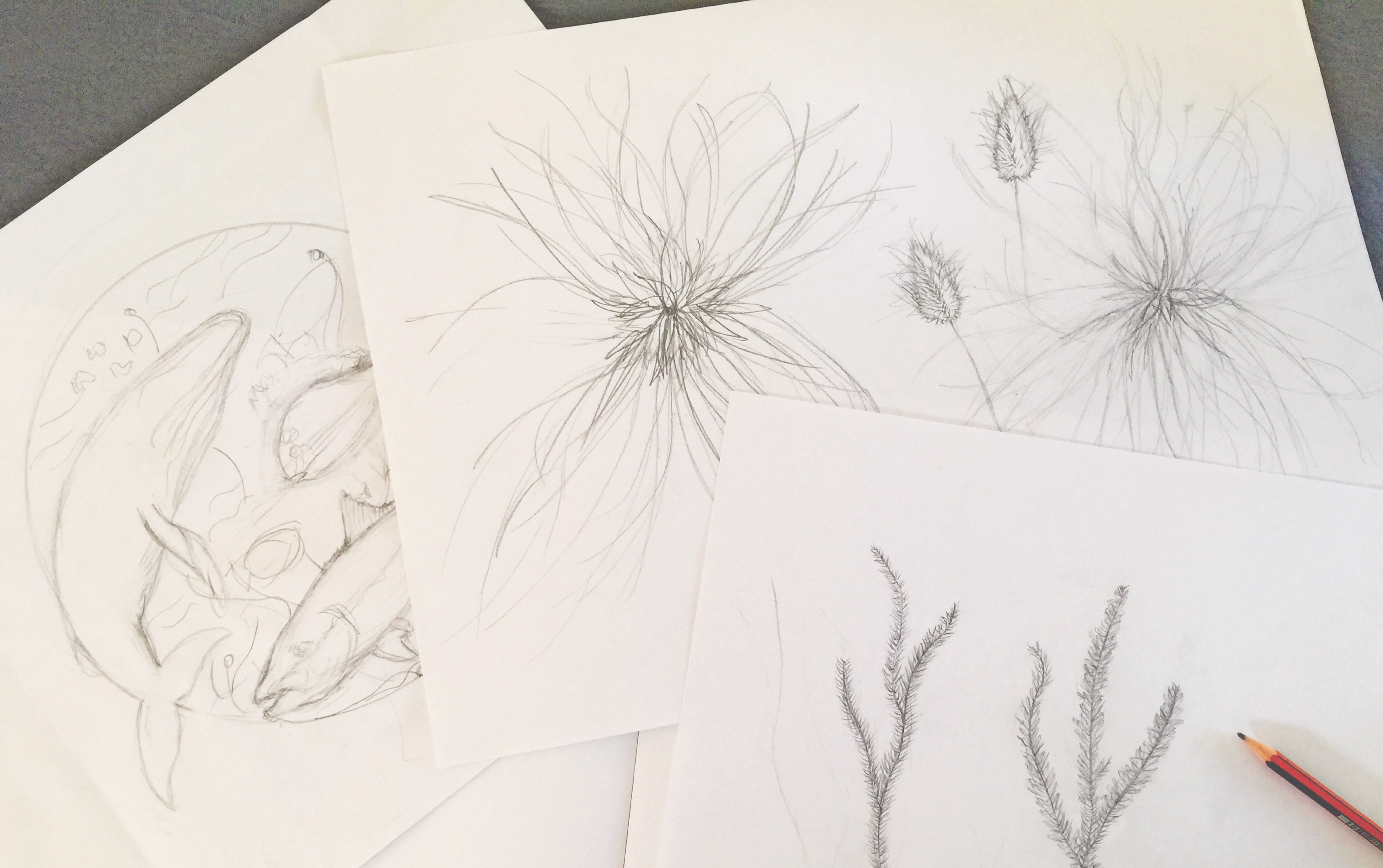 The creation process