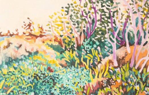 Limited Edition Prints