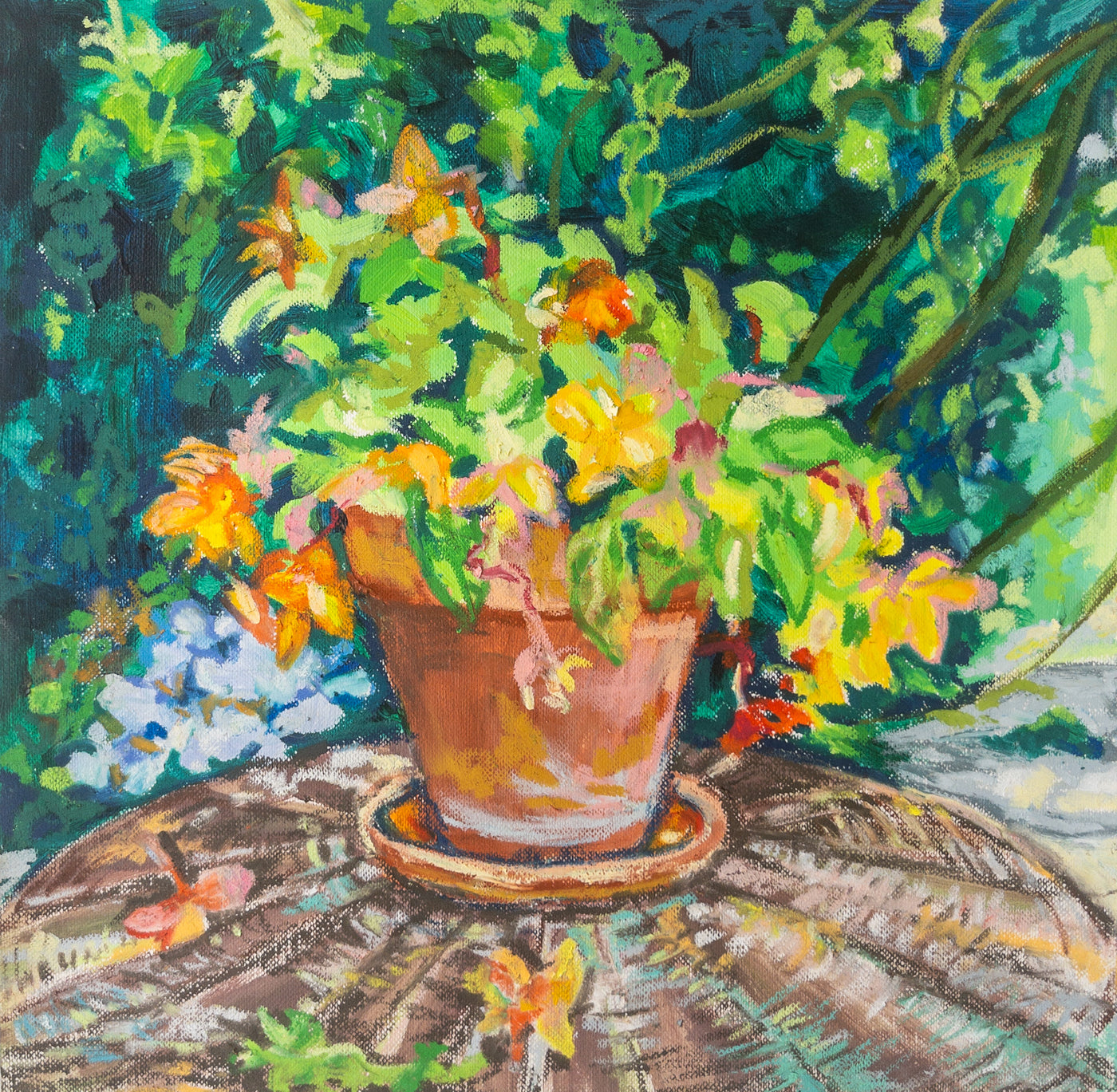 Potted Plant