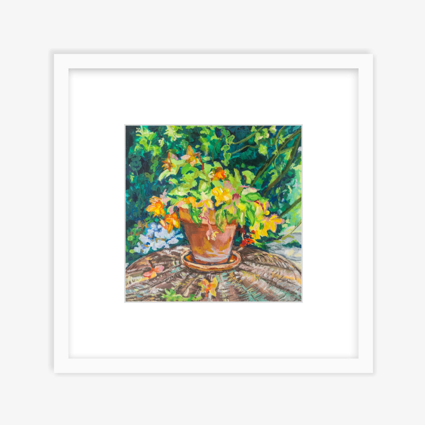 Potted Plant