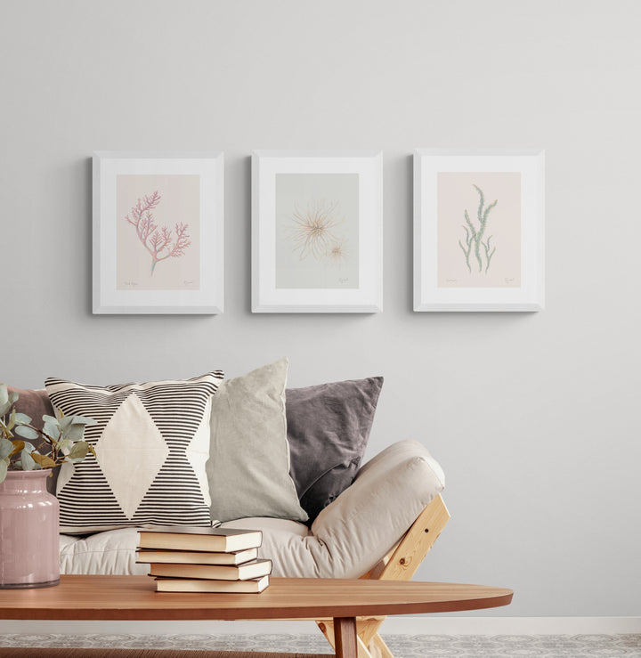 NZ Seaweed & Spinifex 3 Print Set