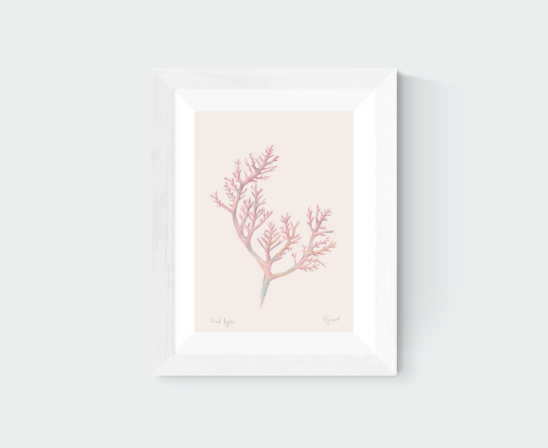 NZ Seaweed & Spinifex 3 Print Set