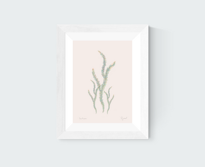NZ Seaweed & Spinifex 3 Print Set