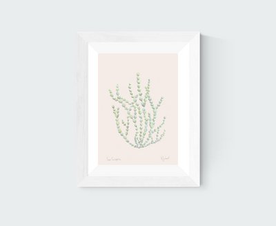 Sea Grapes Art Print
