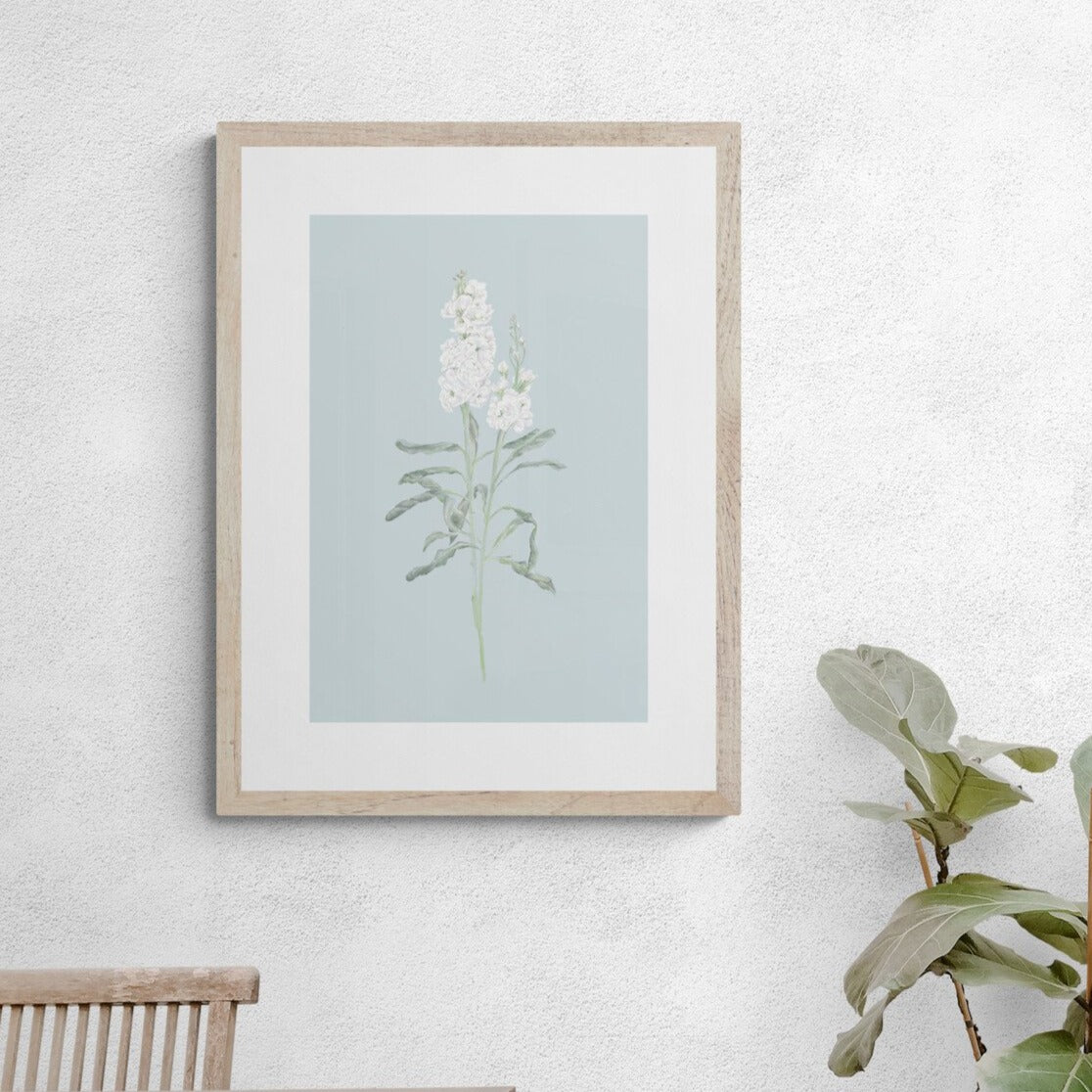 White Stock Flower Art Print